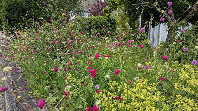 Endspurt bei 'Ratingens bunte Vorgärten'